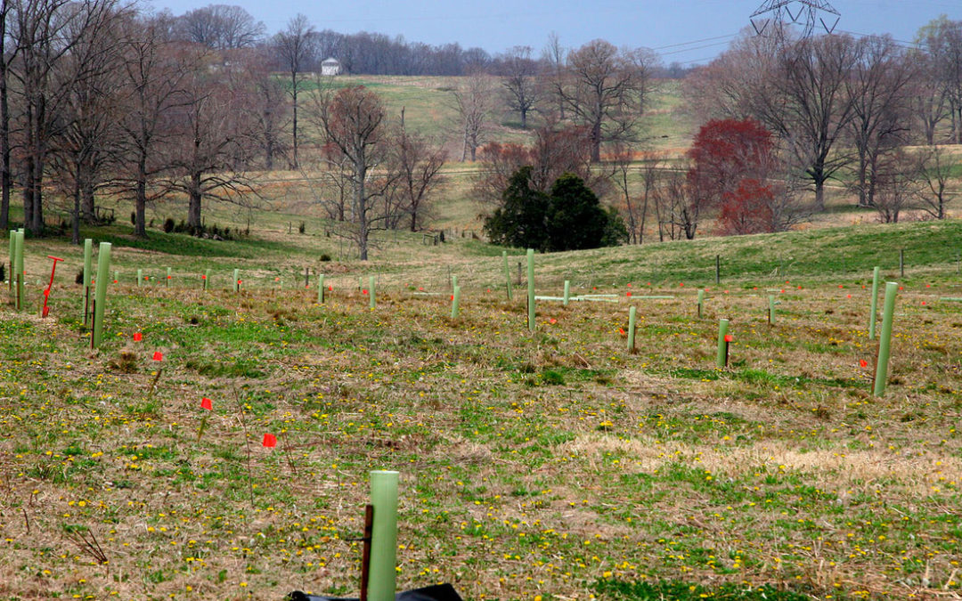 James River Buffer Program (JRBP)