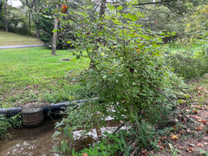 streambank stabilization first site visit