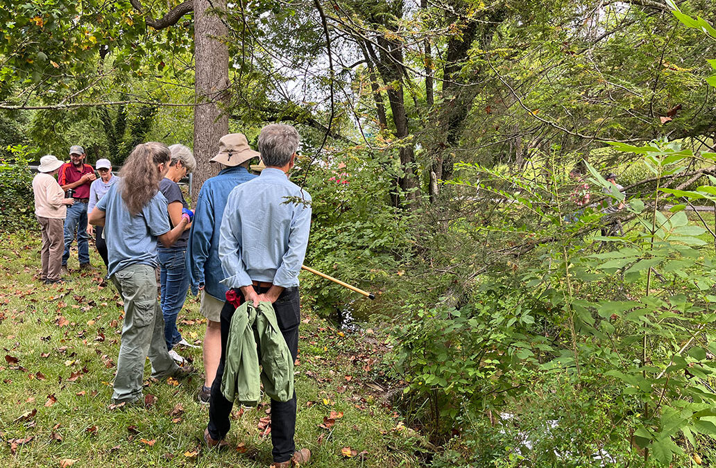 Streambank Stabilization Journey