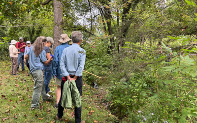 Overview of the Streambank Stabilization Journey
