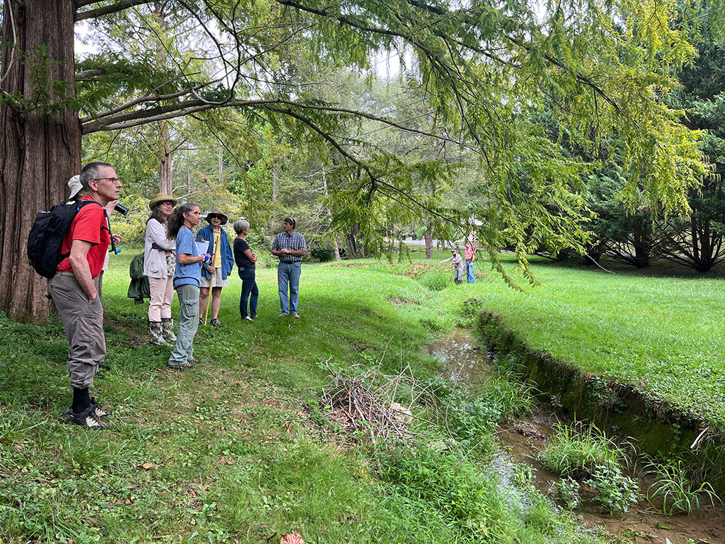 streambank stabilization group explores site