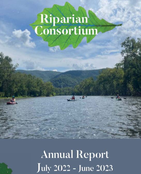 The Consortium Annual Report is Here!