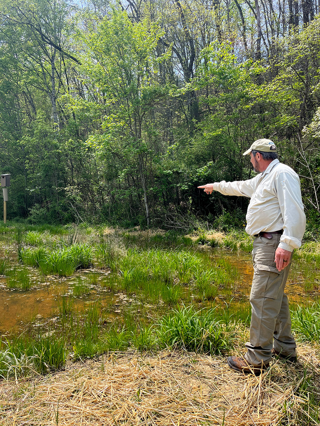 Viewing a vernal pool