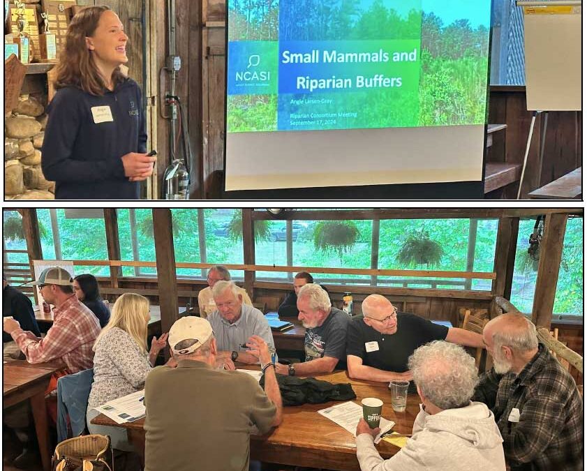 Sept. 17 2024 Consortium Meeting on the Cowpasture River Recap