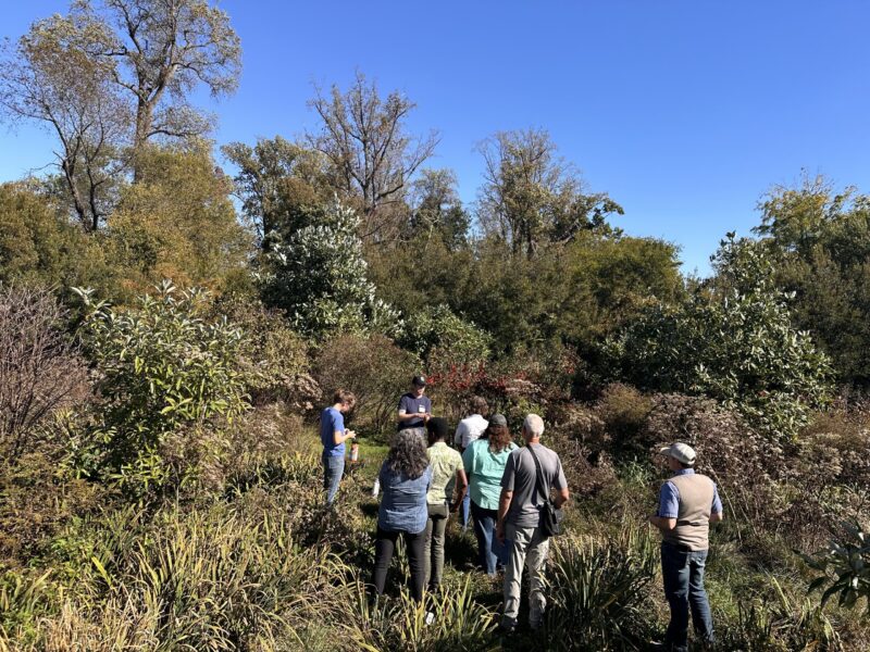 Group of 7 walking toward trees and shrubs