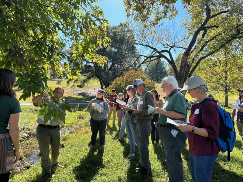 Forester showing a tree branch while attendees observe and take notes about leaf structure