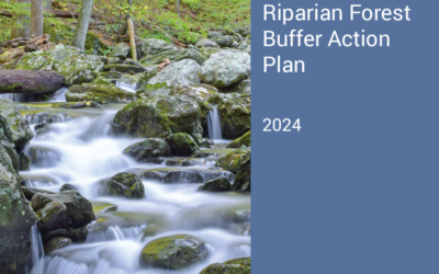 Virginia Riparian Forest Buffer Action Plan 2024