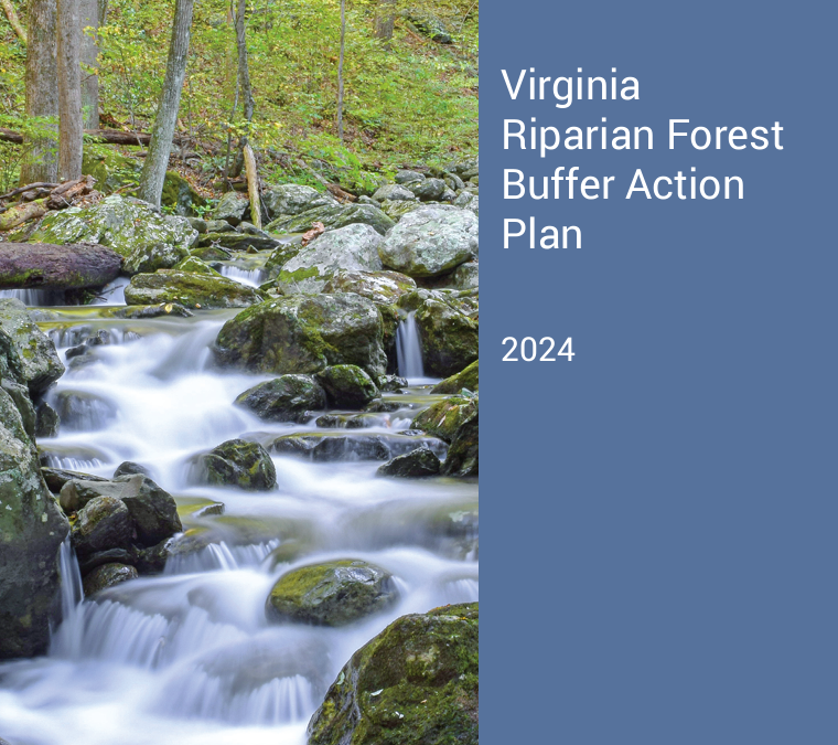 Virginia Riparian Forest Buffer Action Plan 2024