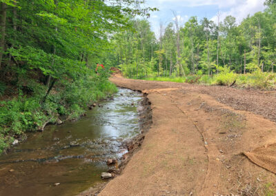 woodbrook lagoon - after