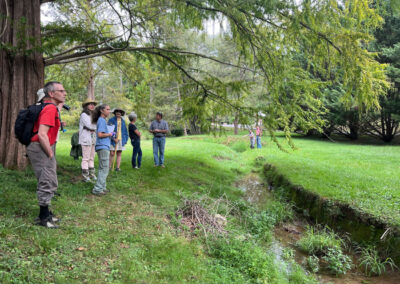 Woods Creek, Lexington