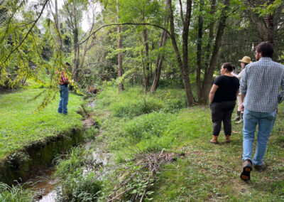 Woods Creek, Lexington