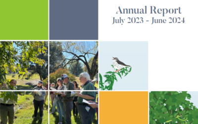 Check out the Consortium Annual Report!