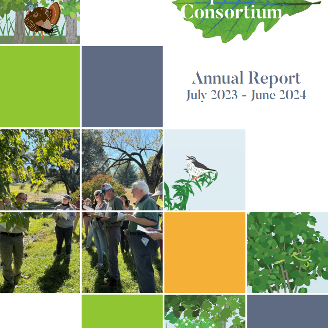 Check out the Consortium Annual Report!