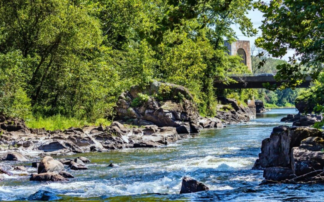 May 13th Consortium Meeting at the Appomattox River Center in Petersburg, VA