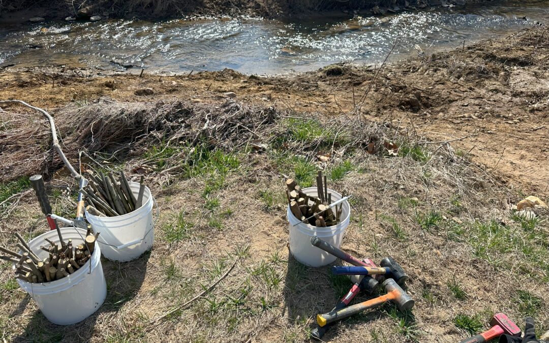 Live Staking for Resiliency