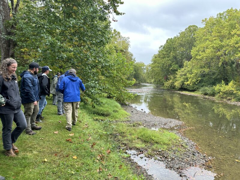 Small group standing on grass by a shallow river