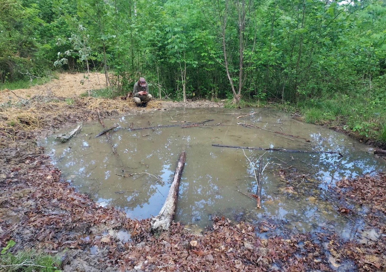 vernal pool in progress