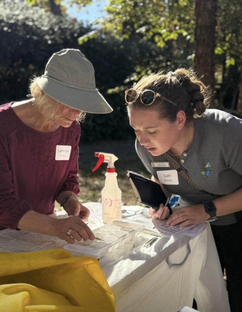 Two people looking down at a table with a spray bottle and plastic trays