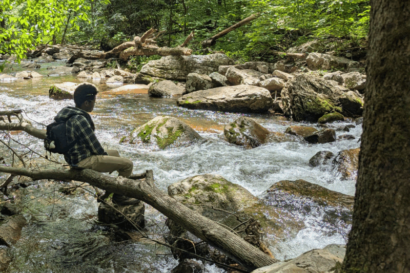 Person sitting on tree branch looking out onto river