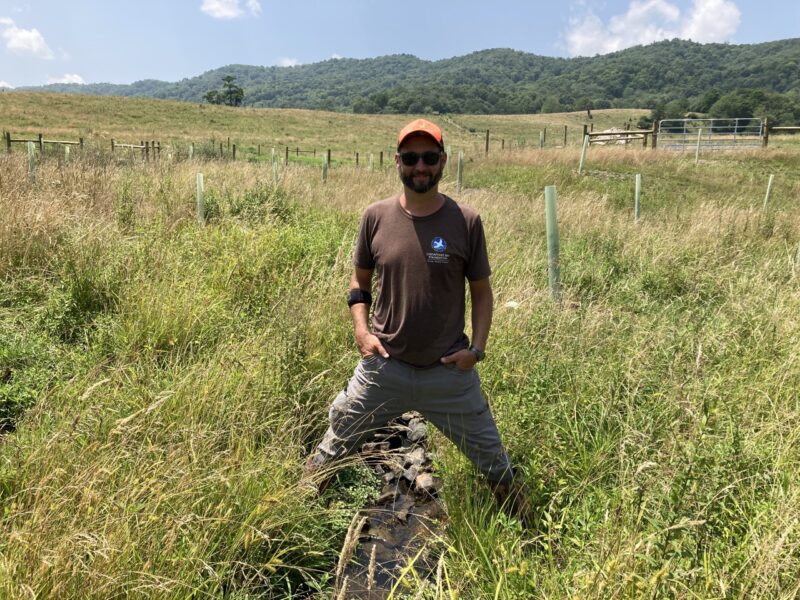 Person standing in grass field with tree tubes behind