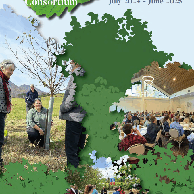 Celebrating Our Growth Together! 2024-2025 Consortium Annual Report