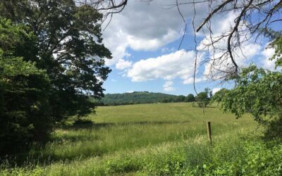 Register for the May 5th Consortium Meeting in Albemarle County