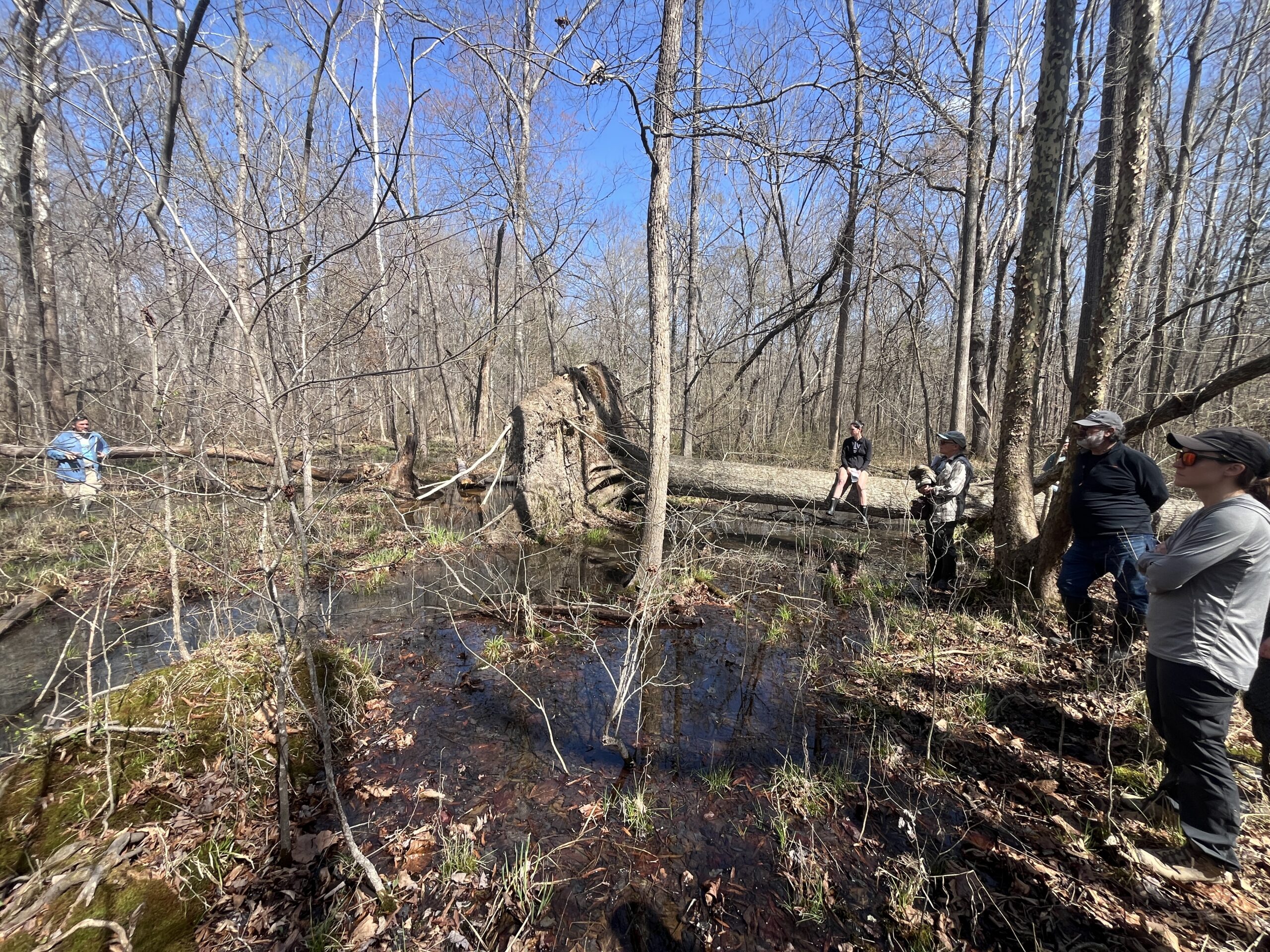 People standing around wetland