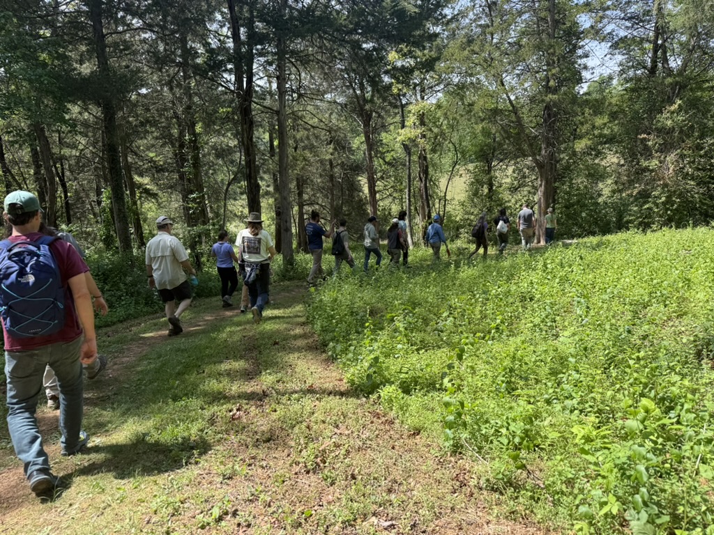 1FA42B78-76A9-4BFA-8E35-8502BA37FD32_1_105_c People walking along a path in a forested area
