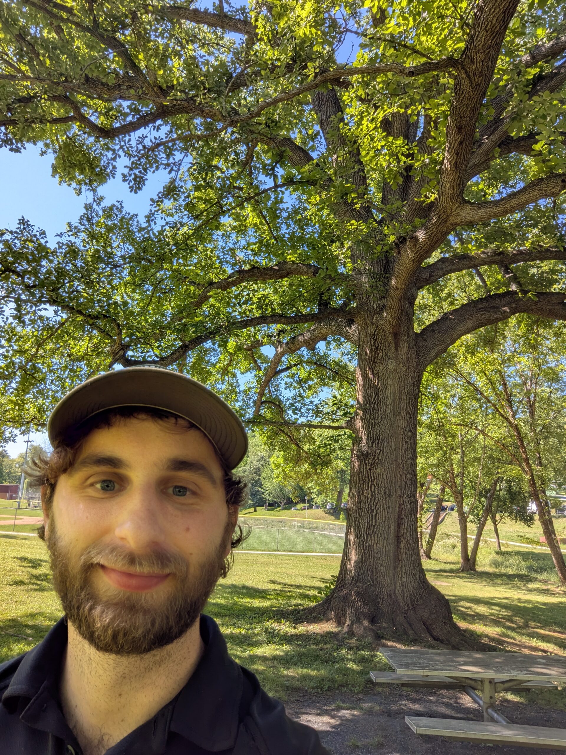 Person's head with swamp white oak tree in background