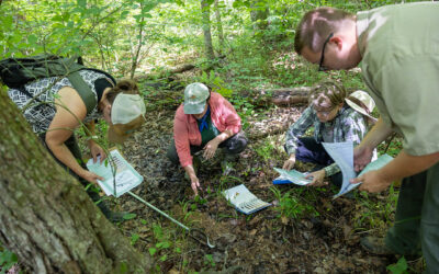 Wetlands Workshop for Conservation Practitioners