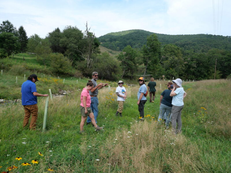 People standing in a grassy field with tree tubes and trees and mountain in background