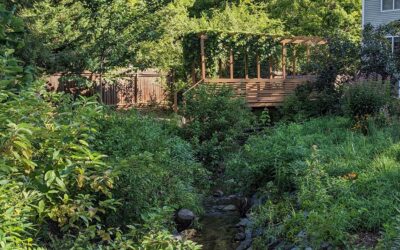 Backyard Buffer Design Workshops, October 6 & 20