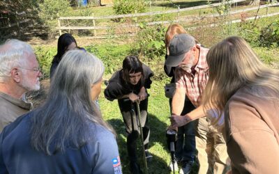 Putting Backyard Buffer Design into Practice
